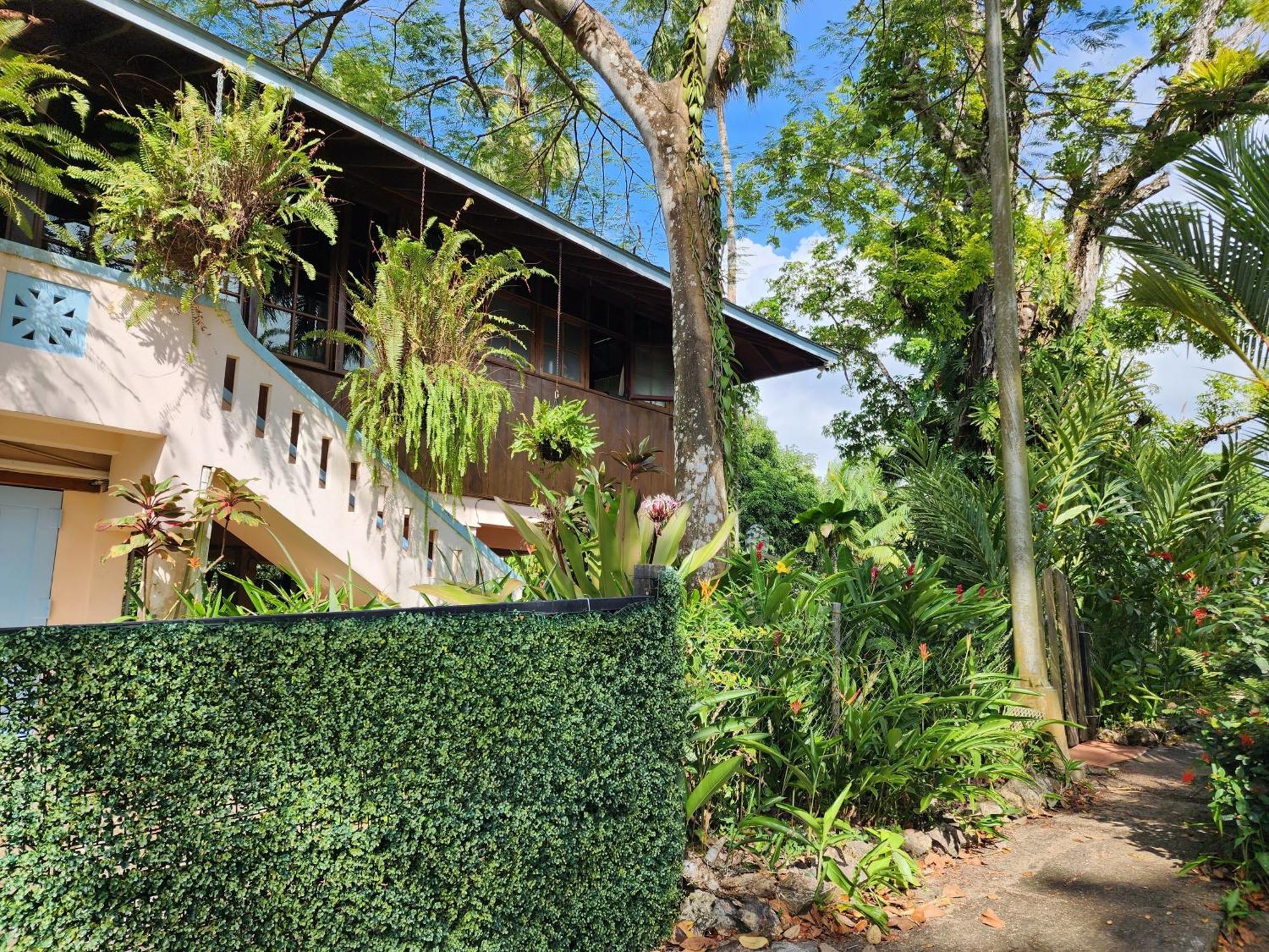 Gamboa Apartment Toucan Y Studio Neque Luaran gambar