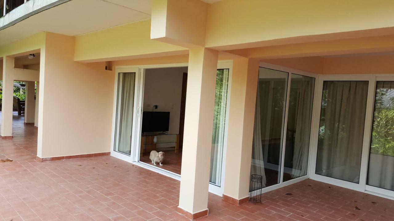 Gamboa Apartment Toucan Y Studio Neque Luaran gambar